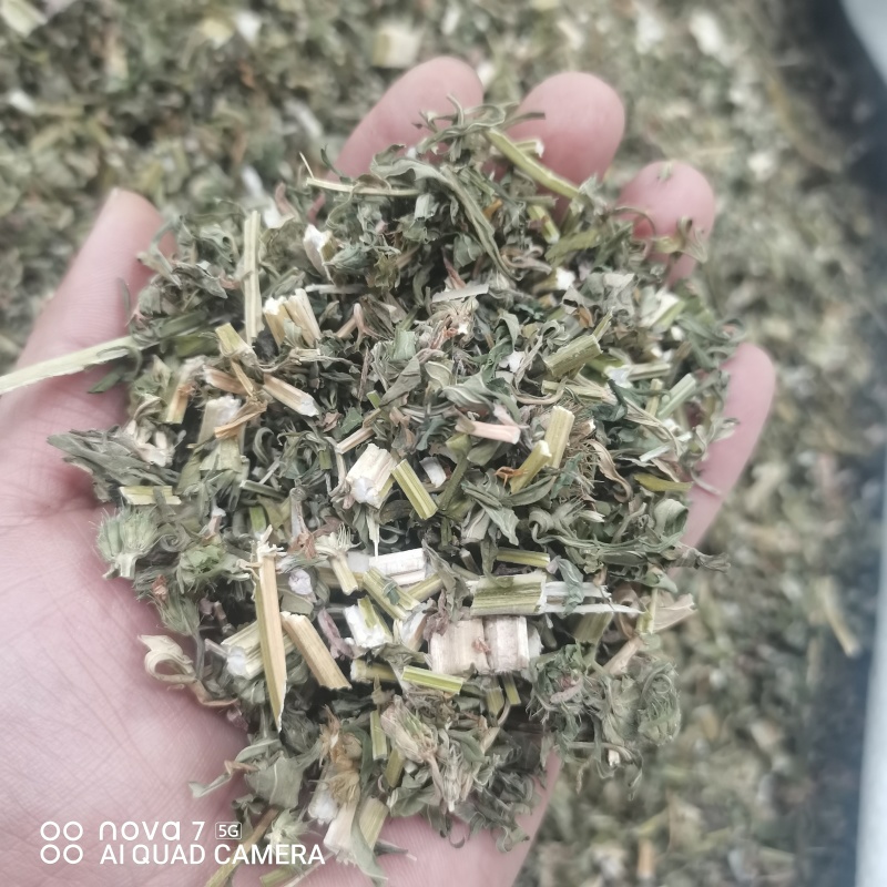 益母草切断过筛益母草正品野生全年大货供应