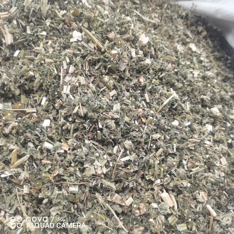 益母草切断过筛益母草正品野生全年大货供应