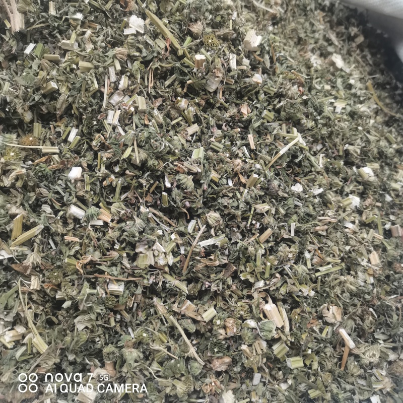 益母草切断过筛益母草正品野生全年大货供应