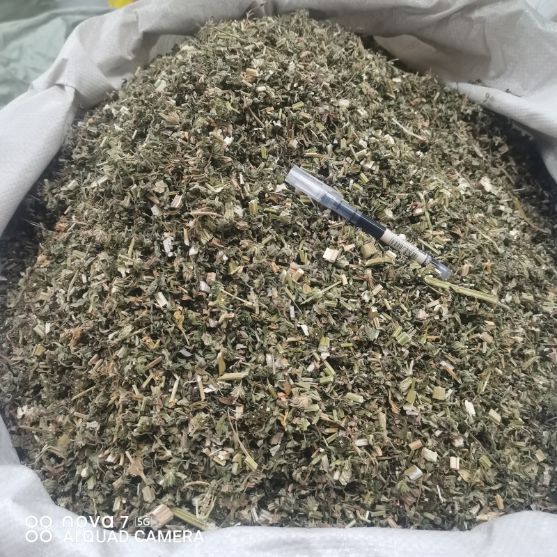 益母草切断过筛益母草正品野生全年大货供应
