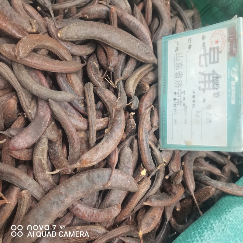 猪牙皂规格齐全全面大货供应