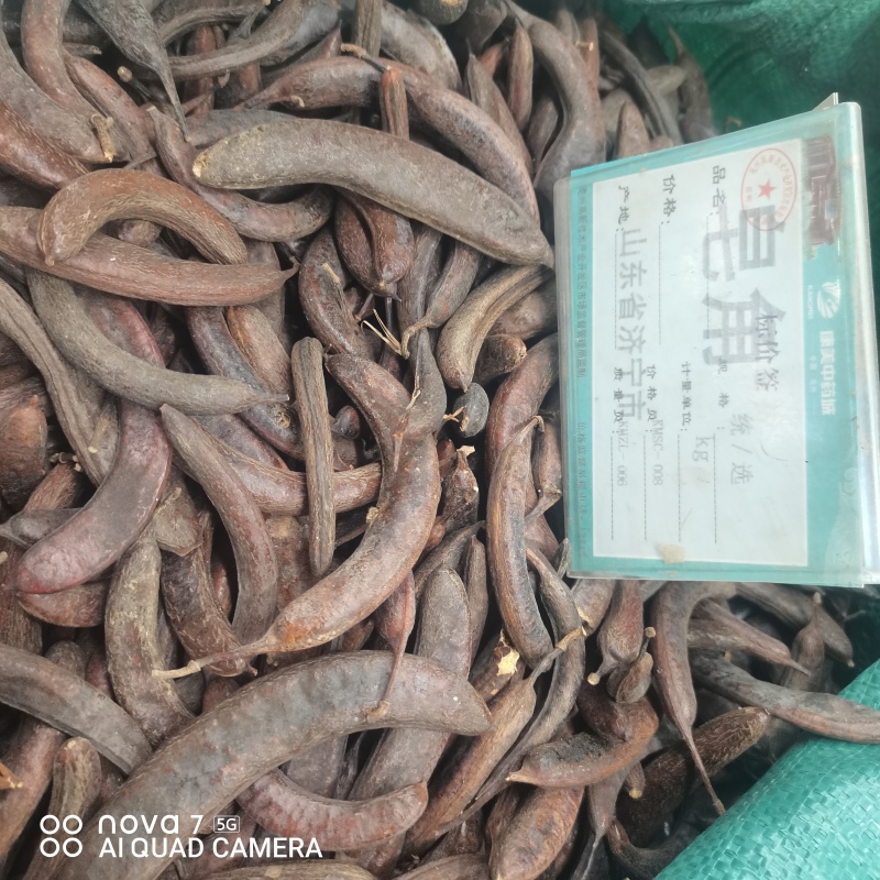 猪牙皂规格齐全全面大货供应