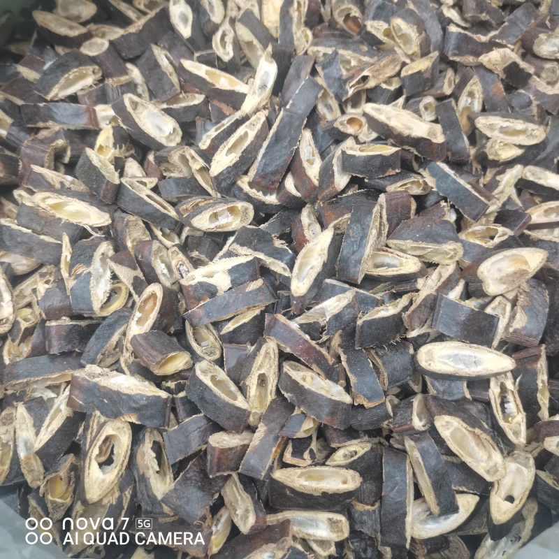 猪牙皂规格齐全全面大货供应