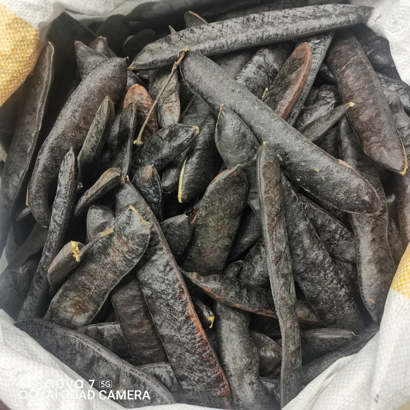 猪牙皂规格齐全全面大货供应
