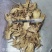 当归片甘肃岷县当归一棵树切片规格齐全