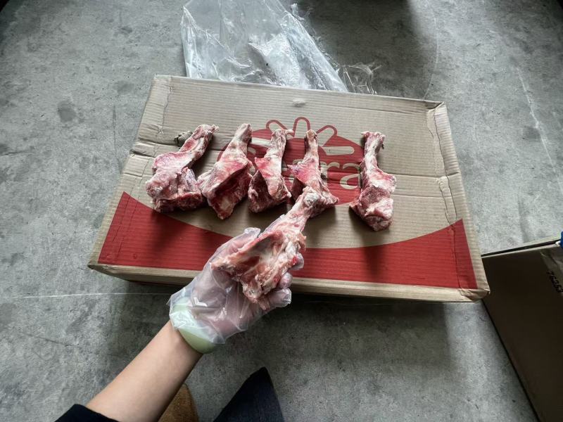 猪尾骨