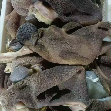 熟黑羊毛肚