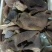 熟黑羊毛肚