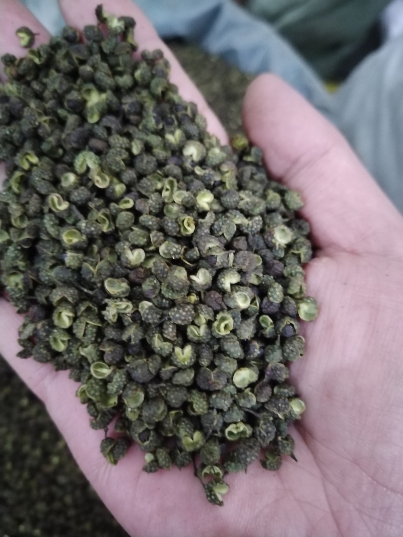 麻椒粒无籽青麻椒红麻椒正品中药材干净颗粒饱满