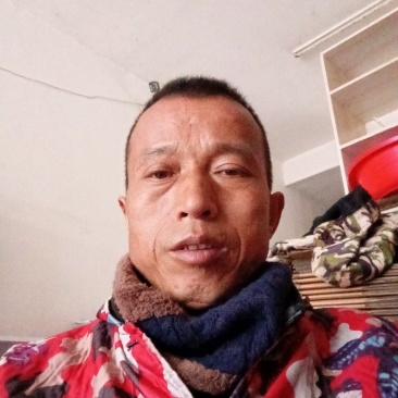 纽何尔脐橙