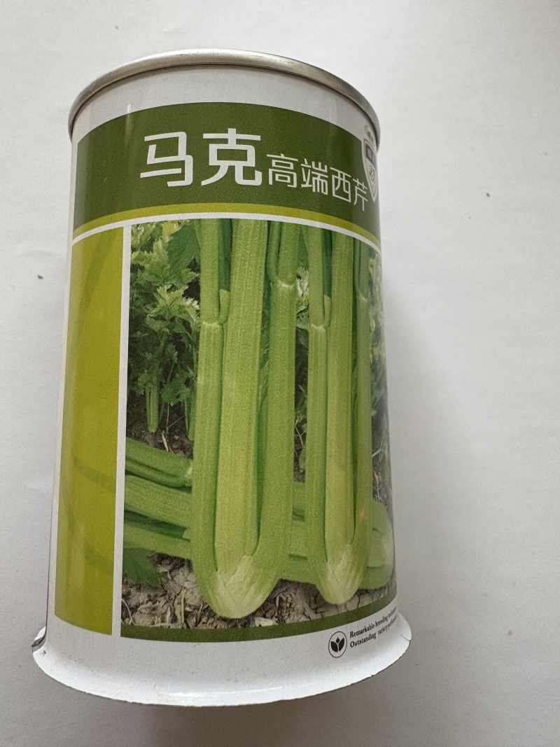马克西芹种子芹菜种子厂家直销品质保障欢迎来电