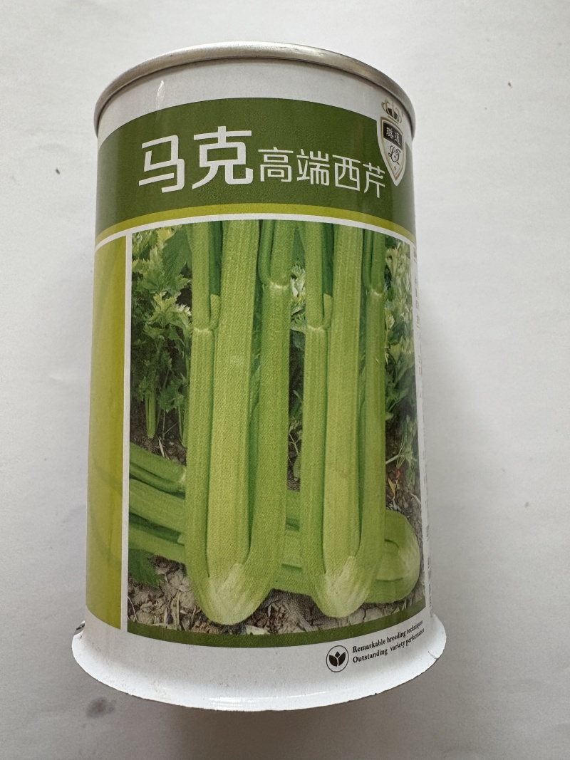 马克西芹种子芹菜种子厂家直销品质保障欢迎来电