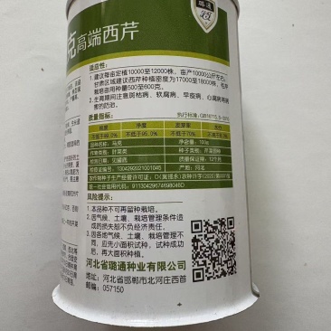 马克西芹种子芹菜种子厂家直销品质保障欢迎来电