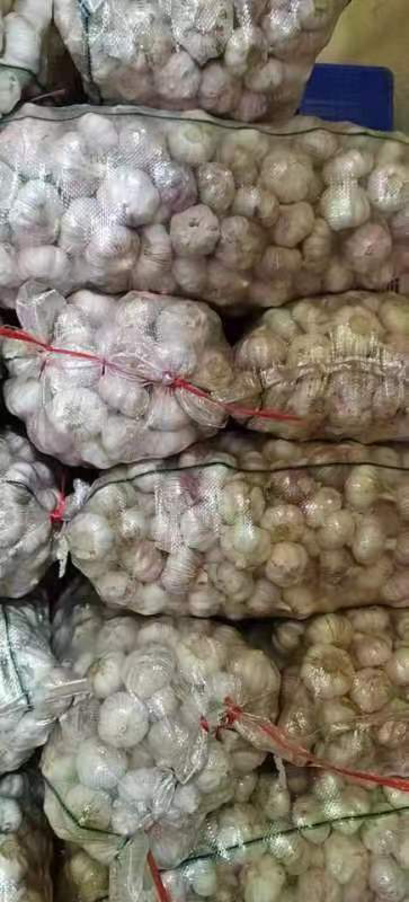 大蒜产地直发大量有货支持一件代发
