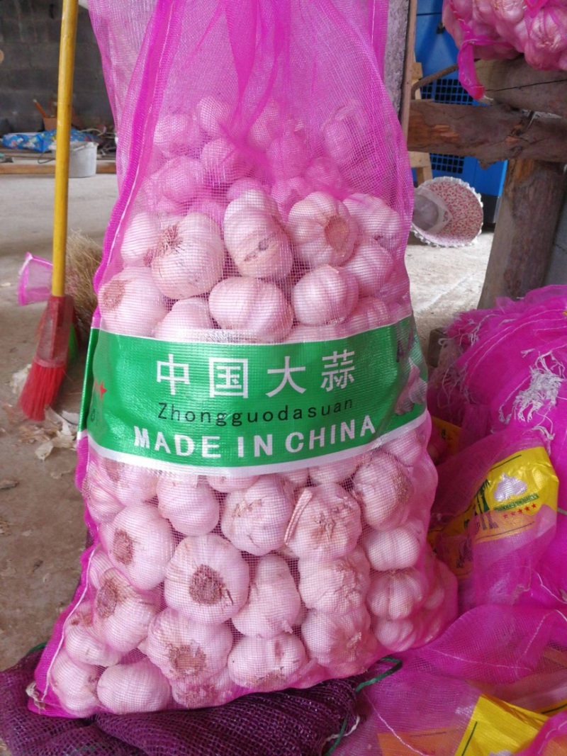 大蒜产地直发大量有货支持一件代发