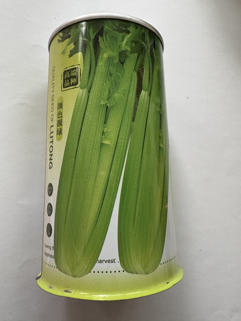 玉竹西芹种子玉竹芹菜种子靓绿玉竹西芹欢迎来电