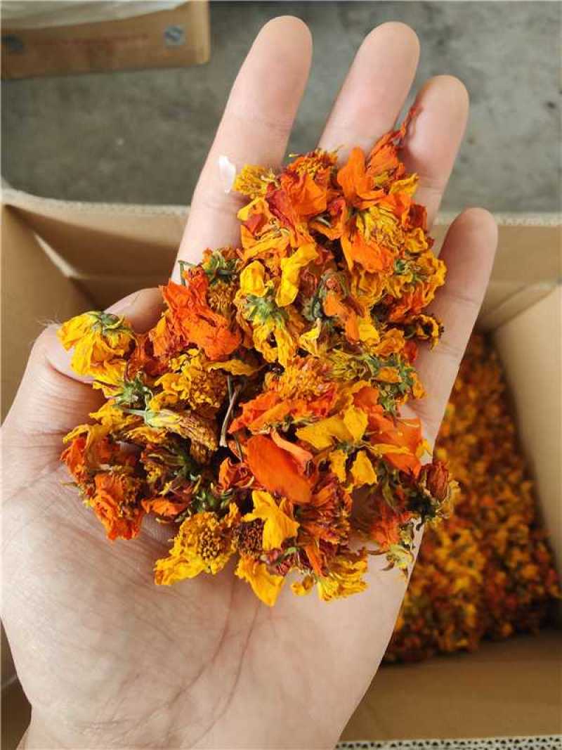新疆天山高海拔冰菊（红菊货源充足保质保量欢迎电话联系
