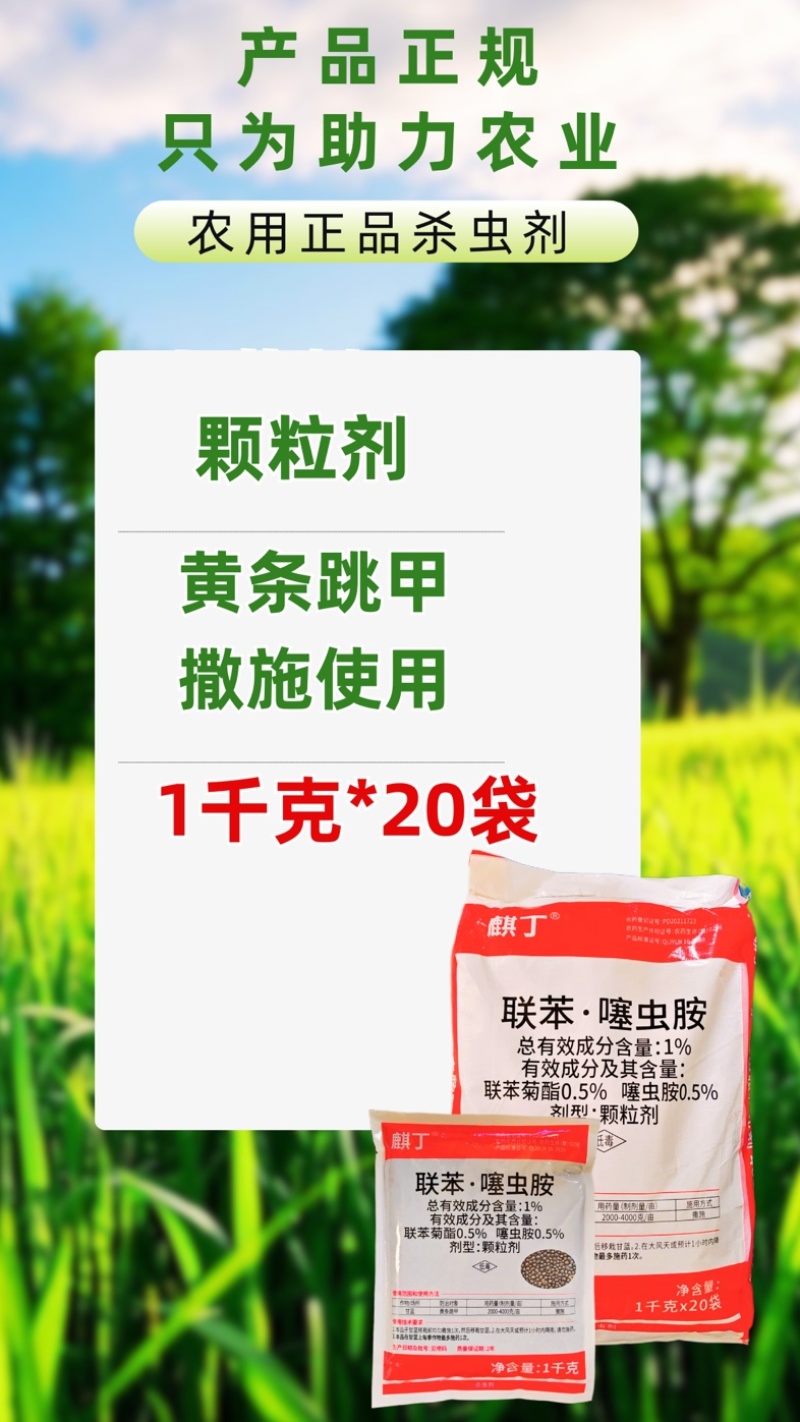 1%联苯噻虫胺1000克颗粒撒施一亩地1-2包