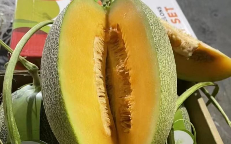 甘肃晓密25哈密瓜，皮薄多汁清甜爆汁品质保证！