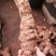野生土茯苓三两以上黄皮白肉可视频看货