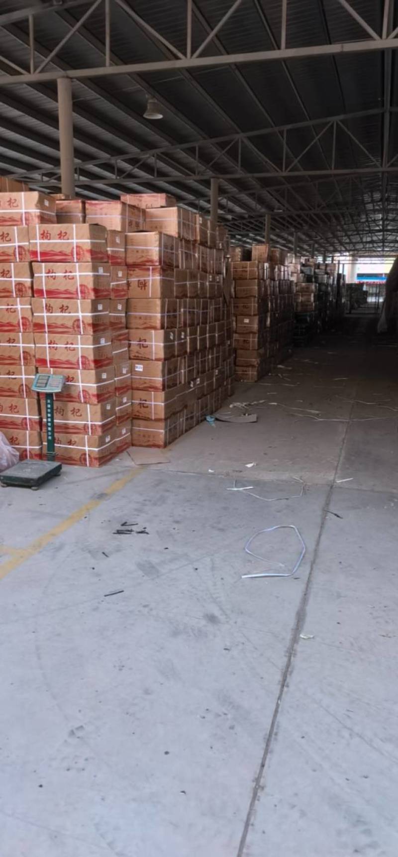 宁夏枸杞，宁杞7号550/50克，精品货源可全国供应品质