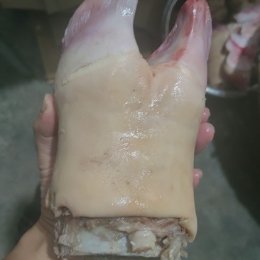 火烧牛蹄