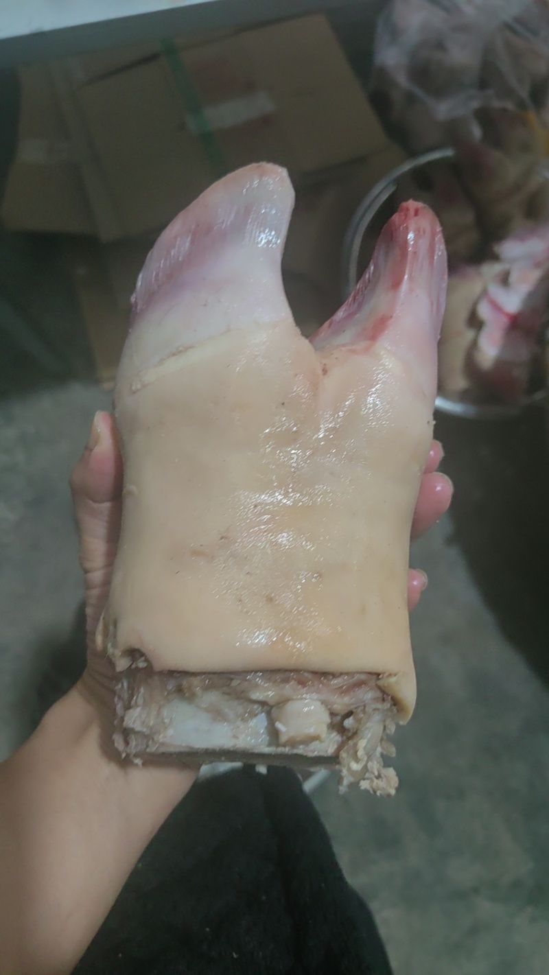 火烧牛蹄