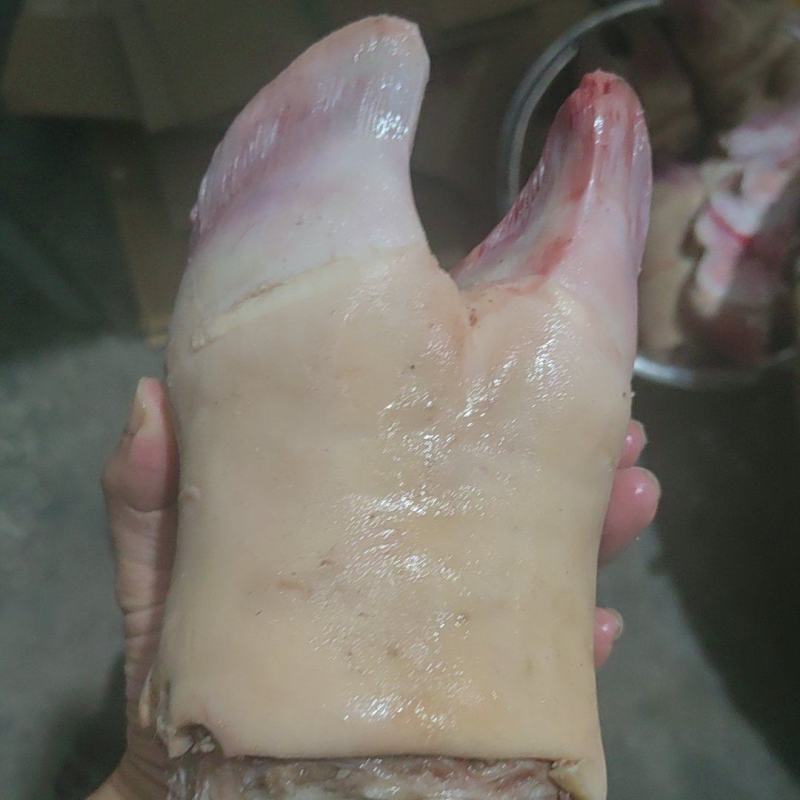 火烧牛蹄