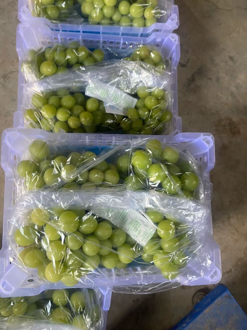 阳光玫瑰小白盒