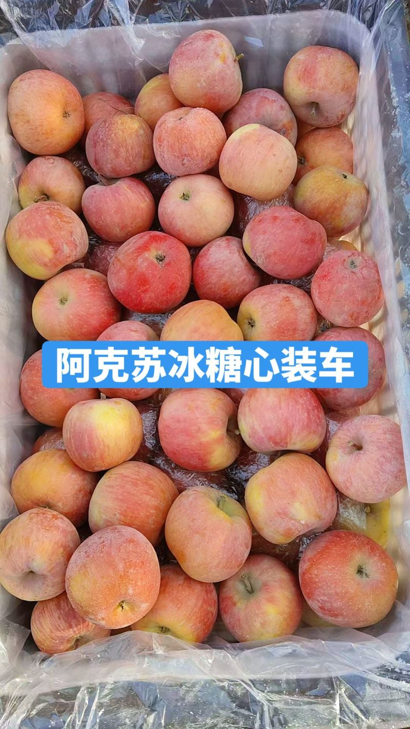 正宗新疆阿克苏苹果冰糖心实力代发全国产地一手货源价格
