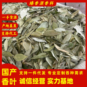 正宗国产香叶特绿精品大量供应全国发货