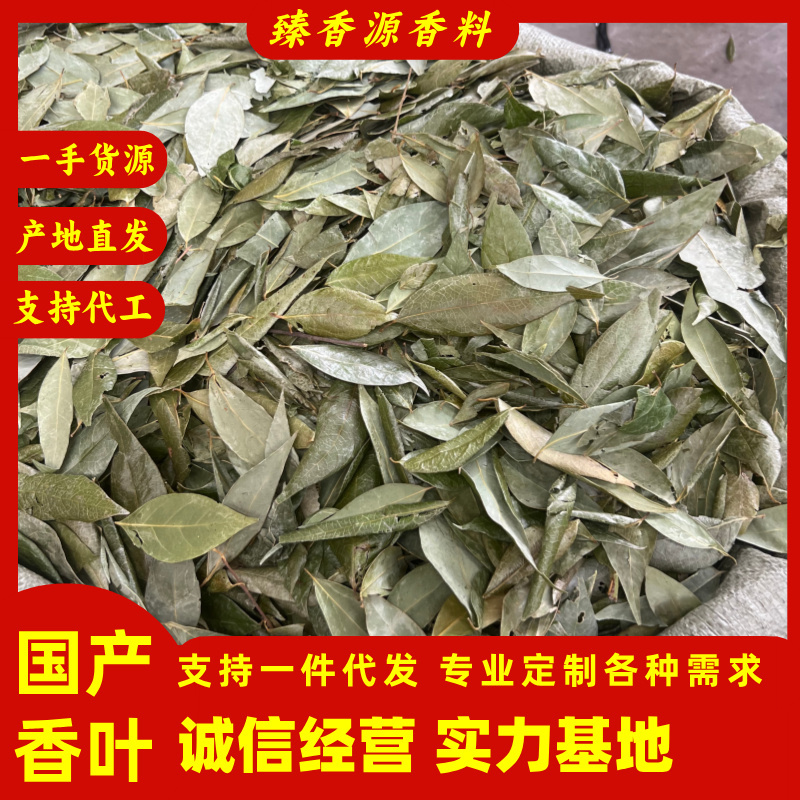 正宗国产香叶特绿精品大量供应全国发货