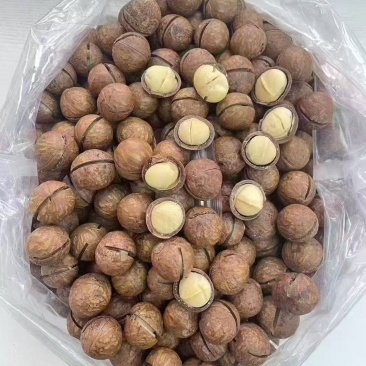 新货大颗粒奶油味夏威夷坚果孕妇炒货果干果年货批发整箱坚果