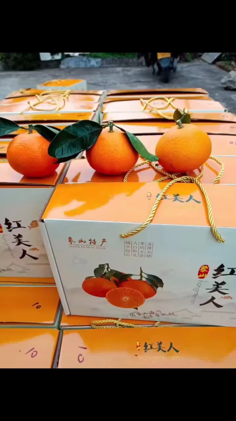 红美人上市了