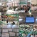 精品苹果洛川苹果货源充足一件代发量大从优质量保证