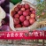精品苹果产地直发现摘现发货源充足一件代发对接电商