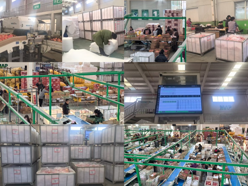 精品苹果产地直发现摘现发货源充足一件代发对接电商