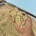 耕禾咖啡