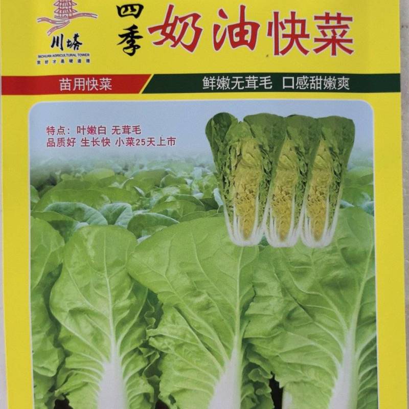 白菜种子四季奶油快菜鲜嫩无茸毛口感甜嫩爽四季可种