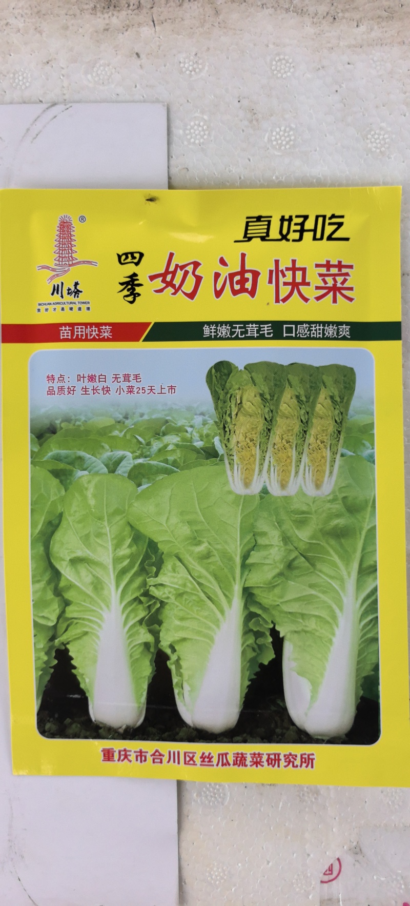 白菜种子四季奶油快菜鲜嫩无茸毛口感甜嫩爽四季可种