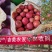 精品苹果脆甜多汁现摘现发量大从优量大从优质量保证