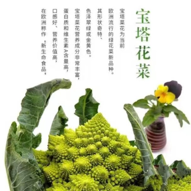 香脆可口