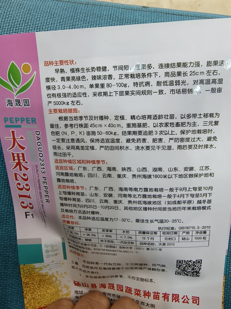 大果2313早熟膨果速度快节间短座果多耐低温