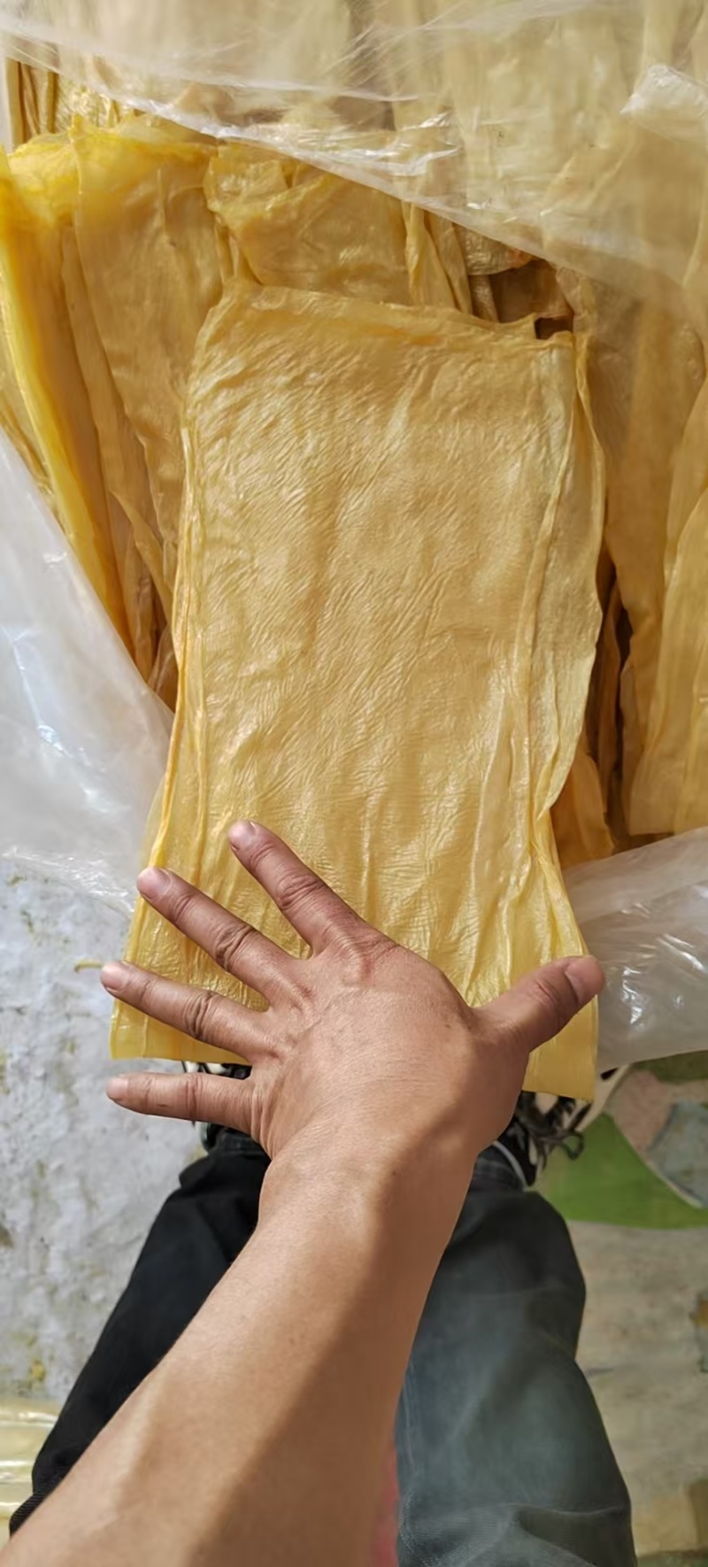 大片扁腐竹岭南山水腐竹，纯手工制作而成……