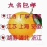 一件代发赣南脐橙/精选大果/电商团购礼盒装