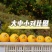 一件代发赣南脐橙/精选大果/电商团购礼盒装