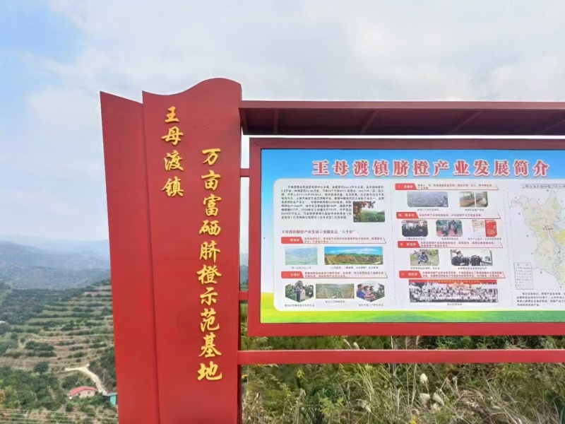 一件代发赣南脐橙/精选大果/电商团购礼盒装