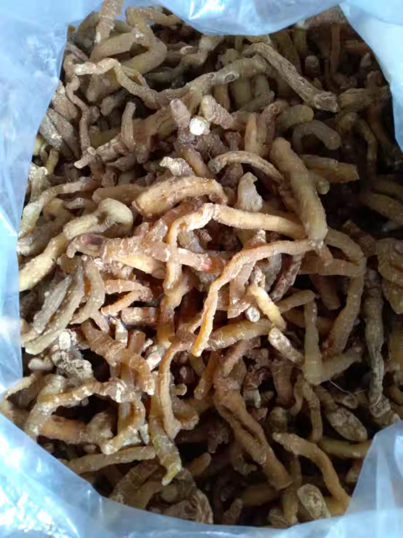 玉竹玉竹个小玉竹无硫湘玉竹自然晒干中药材批发