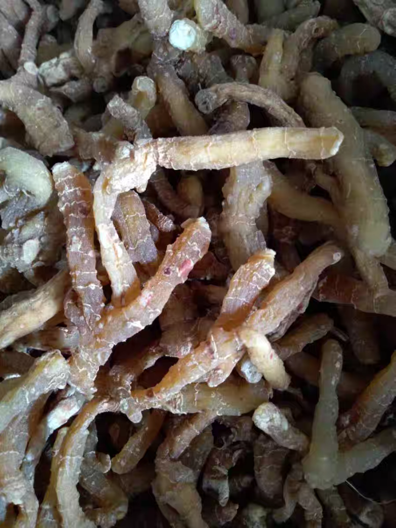 玉竹玉竹个小玉竹无硫湘玉竹自然晒干中药材批发