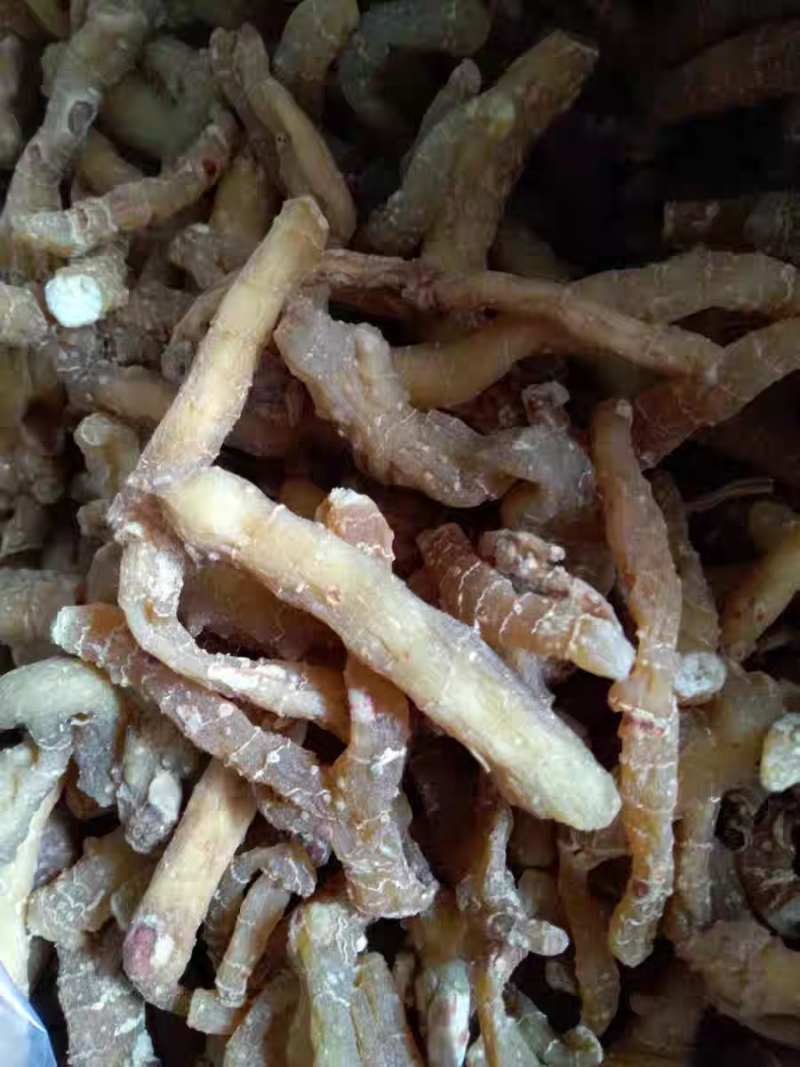 玉竹玉竹个小玉竹无硫湘玉竹自然晒干中药材批发